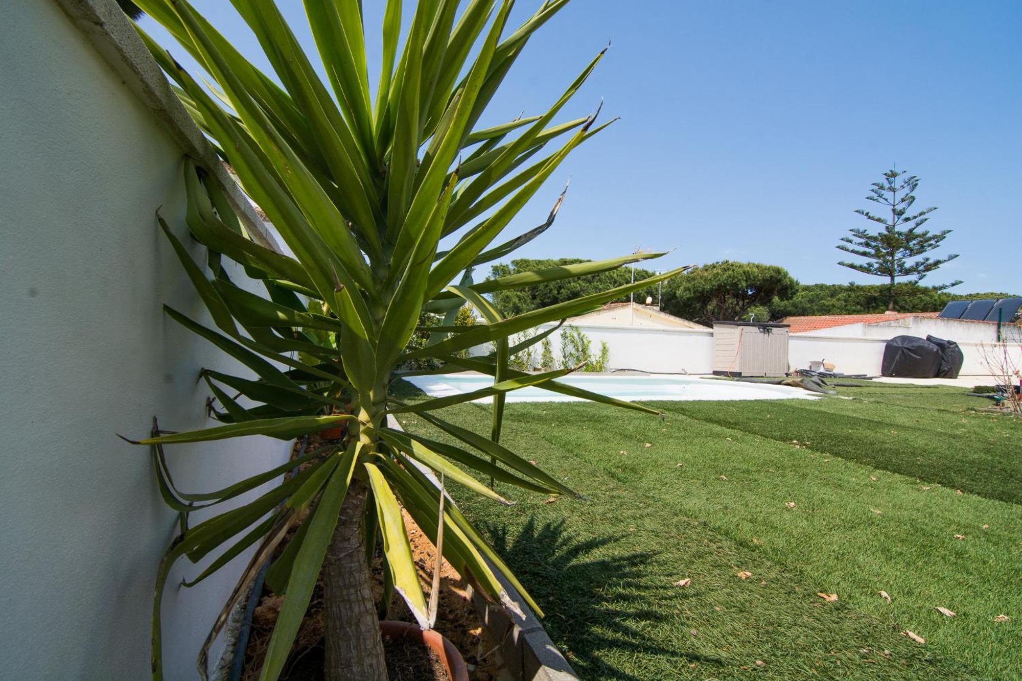 Chalet Individual En El Rompido Urb Urverosa Luaran gambar